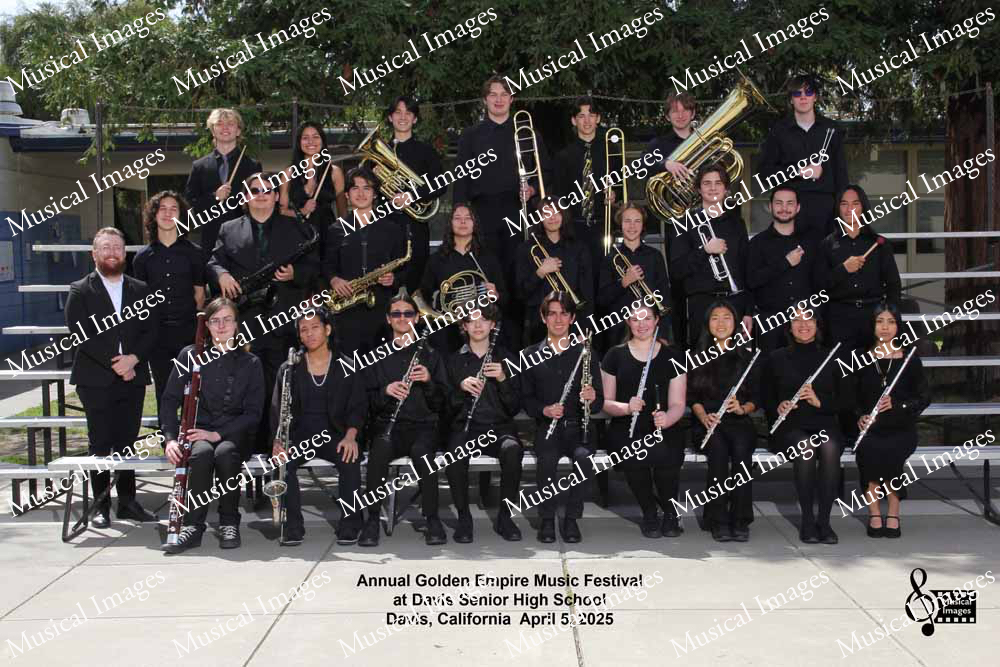 Musical Images